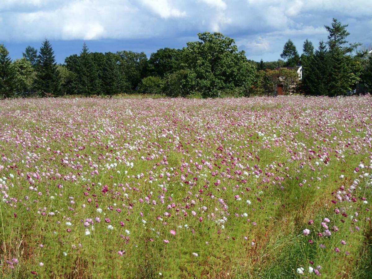 Tsukushi Village Цуруи Экстерьер фото